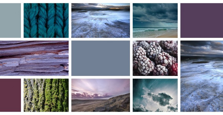 Les couleurs de la nature sauvage en automne